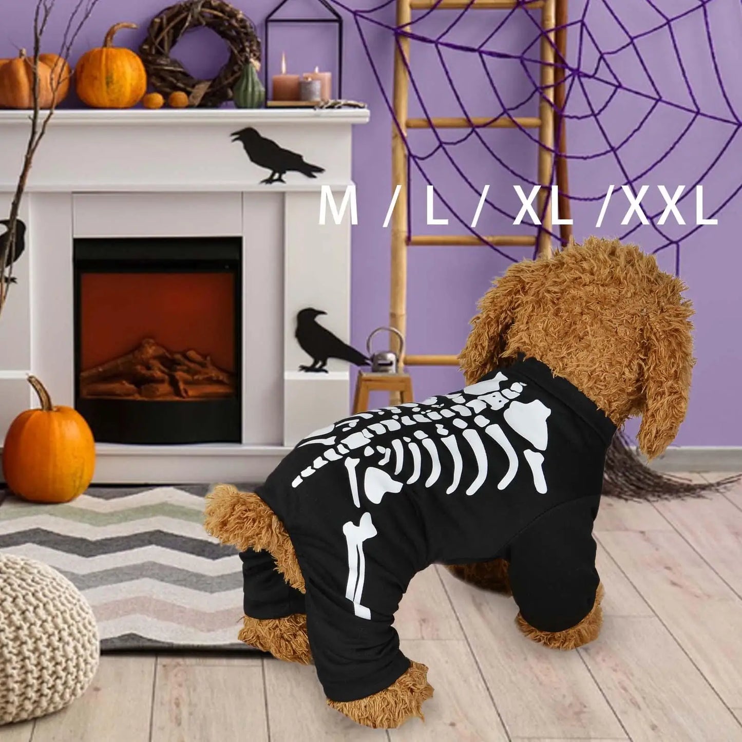 Halloween Skeleton Costume