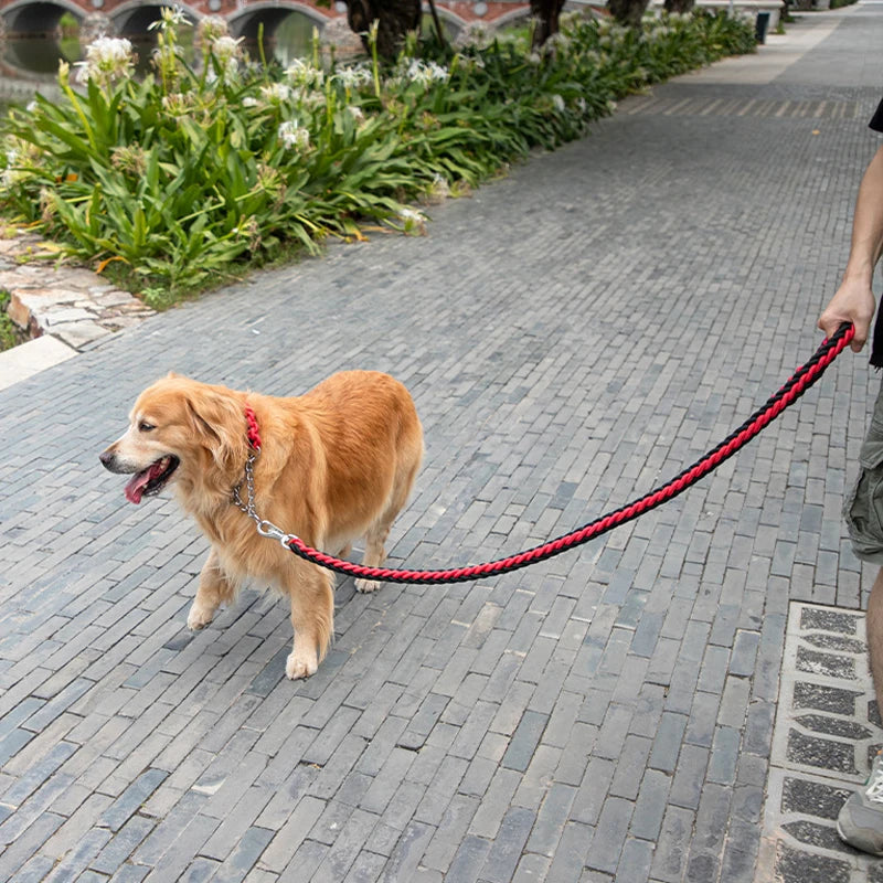 Large Dog Leash Traction Rope with Heavy Duty Buckle