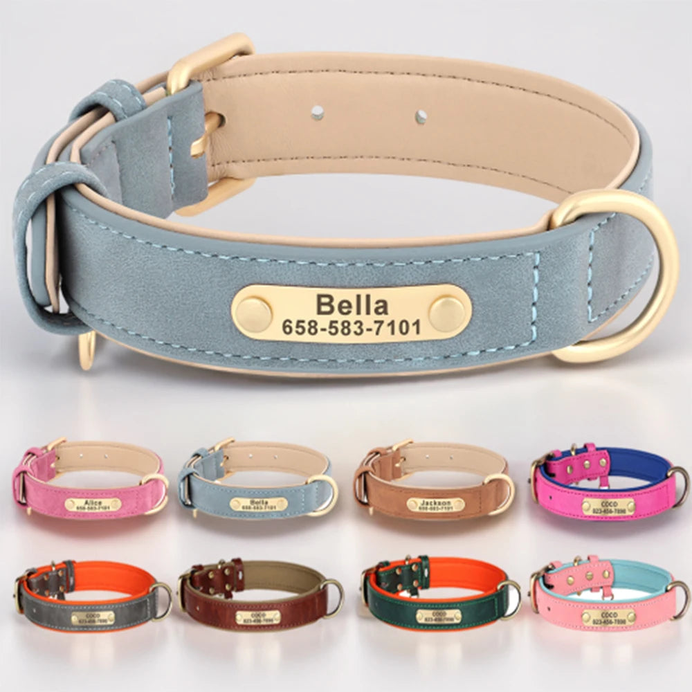 Dog Collar Custom Engraved PU Leather