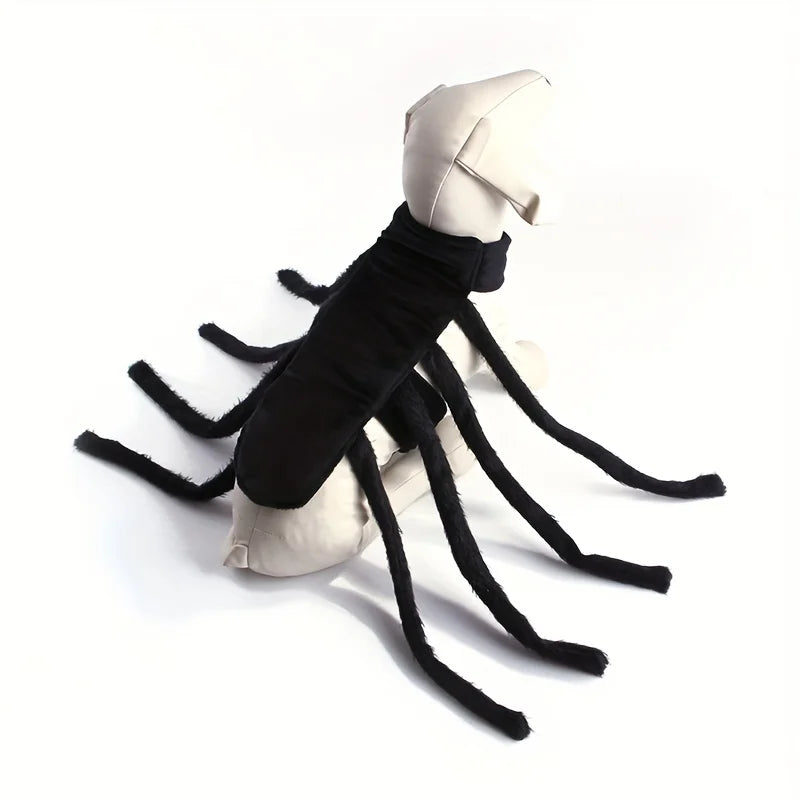 Halloween Spider costume