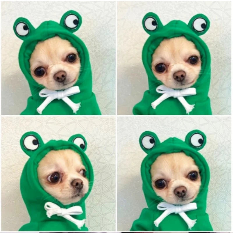 Frog Pet Sweater costume