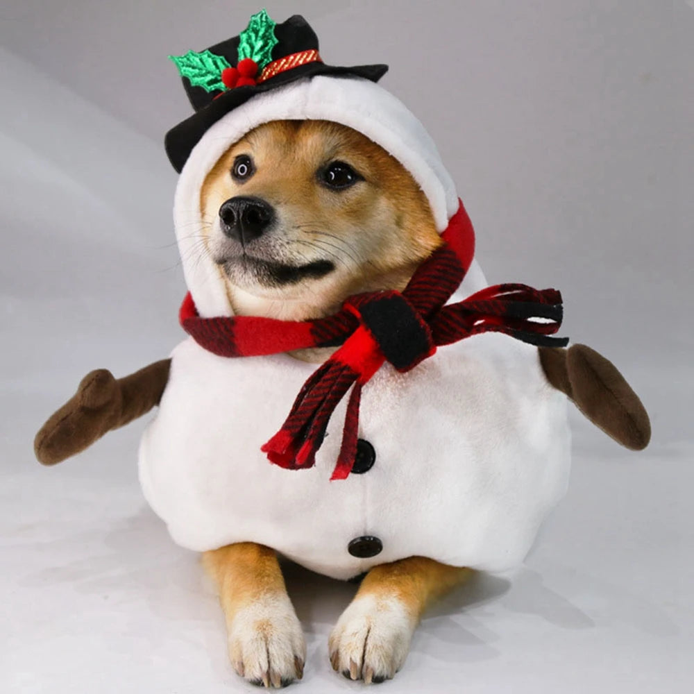 Snowpet Costume