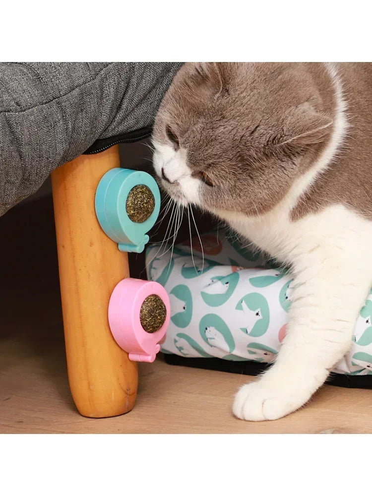 Catnip Licking Ball Spherical Teeth Cleaning