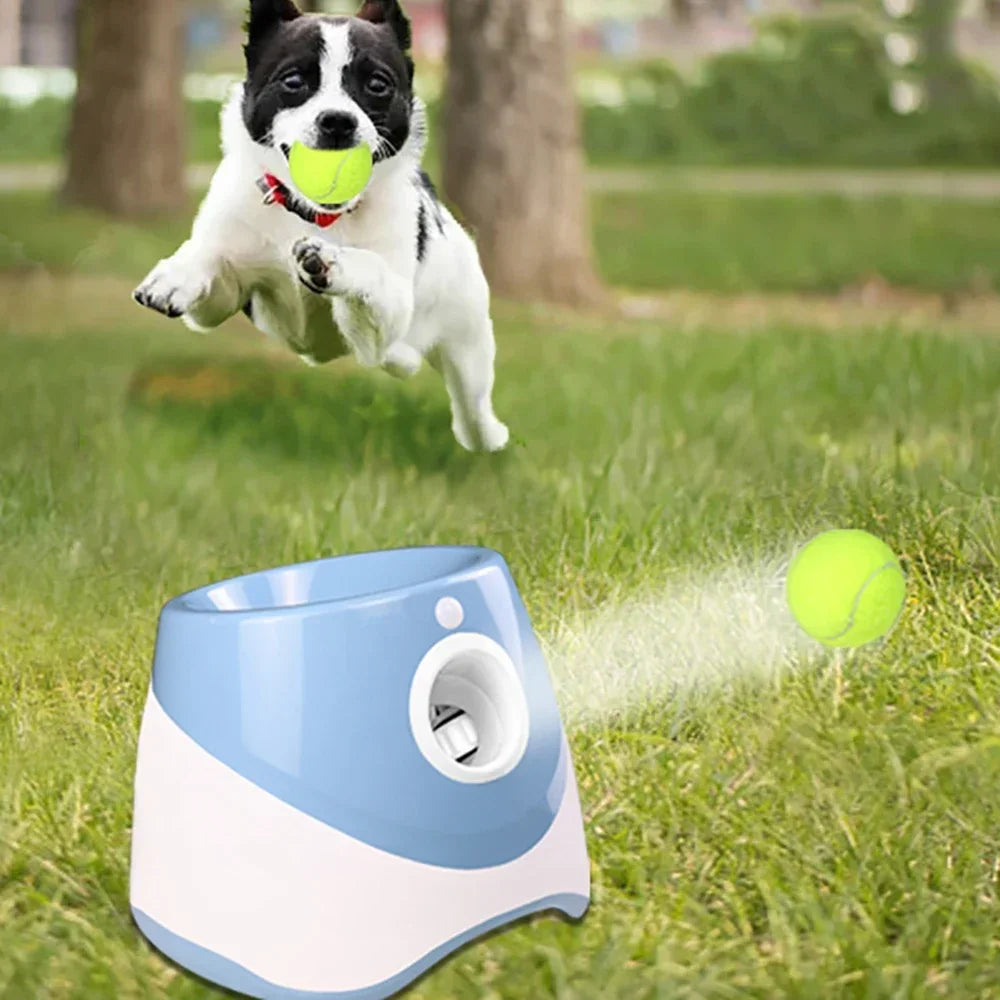 Automatic Pet Ball Launcher