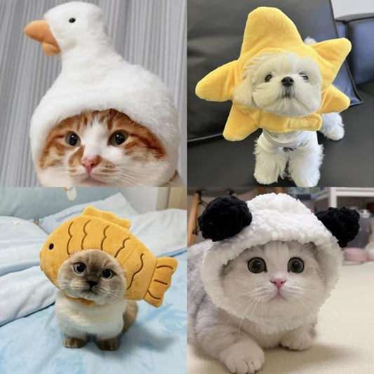 Funny pet costume