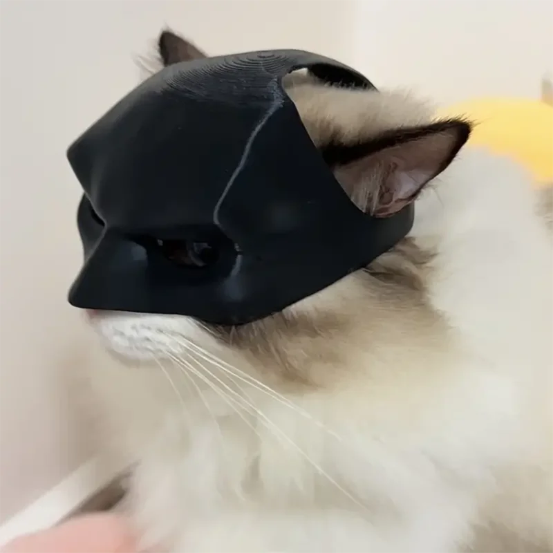 Black Bat Cat & Dog Avenger Mask