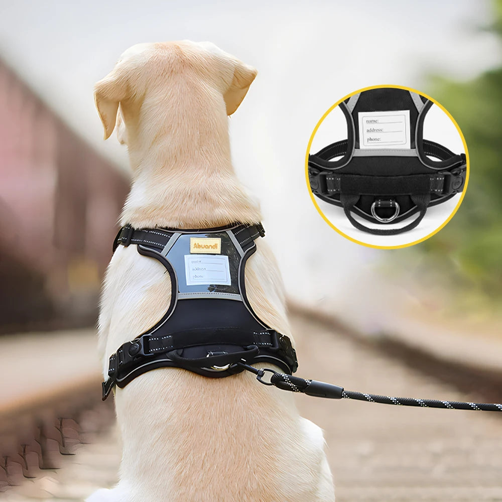 Reflective Dog Harness Vest with Anti-Loss Nameplate | Adjustable Collar & Leash