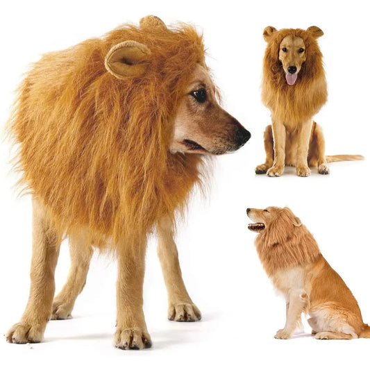 Cute  Dog Cosplay Clothes Lion Mane