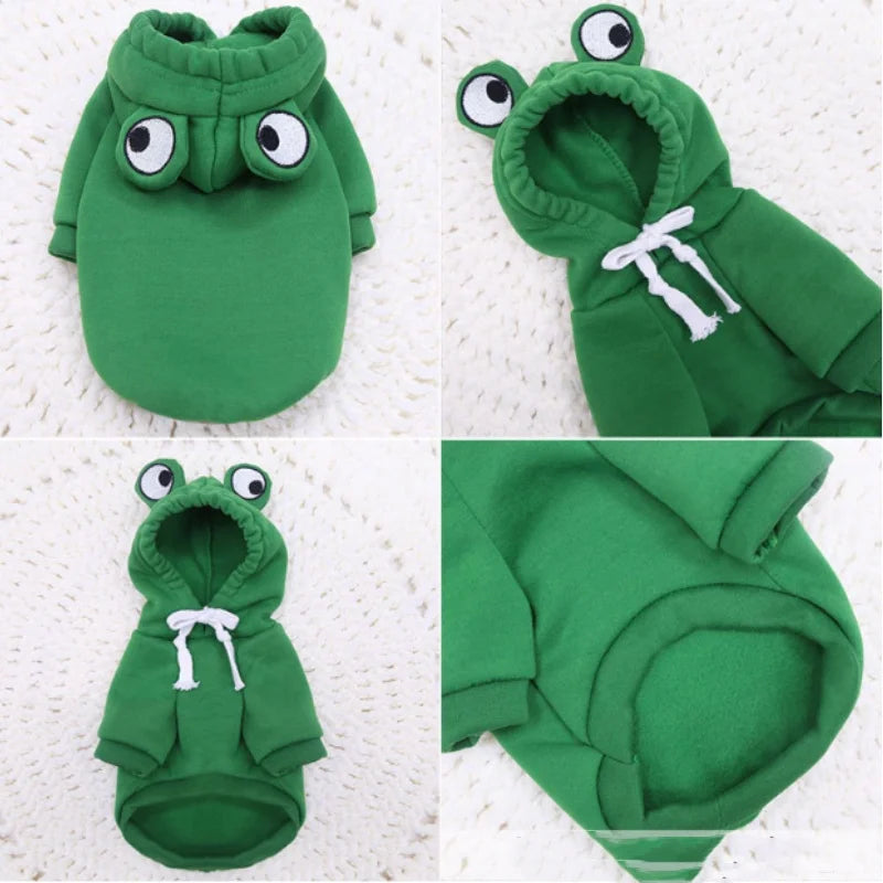 Frog Pet Sweater costume