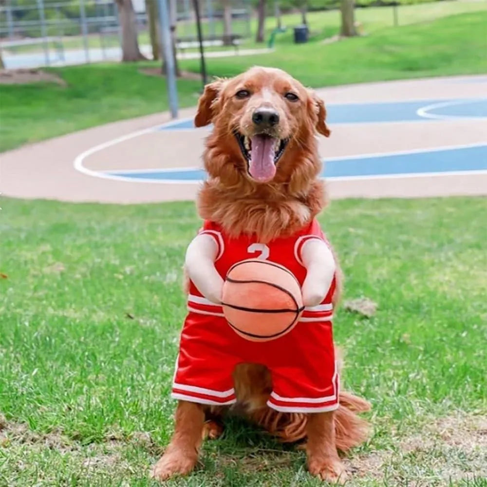 Basketball Costume