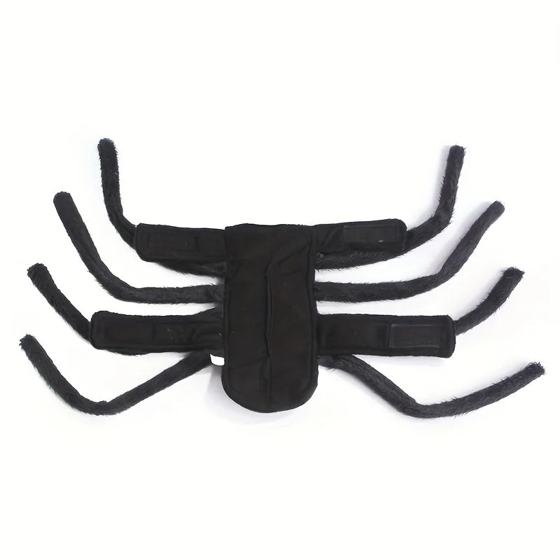 Halloween Spider costume