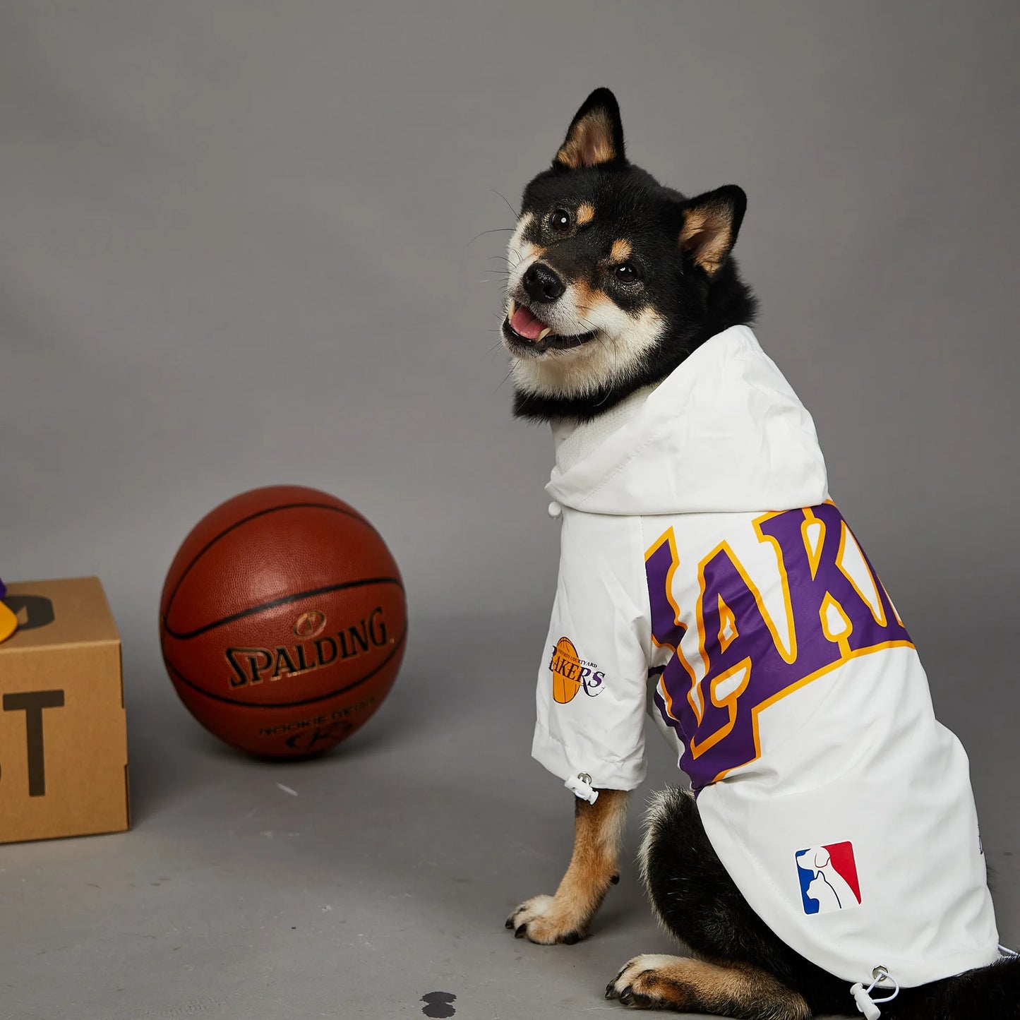 LAKERS JERSEY costume