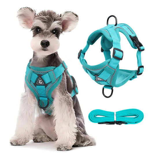 Dog Harness Leash Set Adjustable ,  Chest Strap