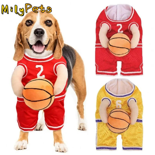 Basketball Costume