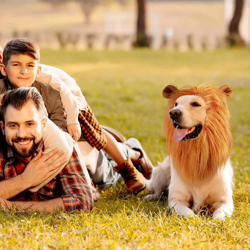 Cute  Dog Cosplay Clothes Lion Mane