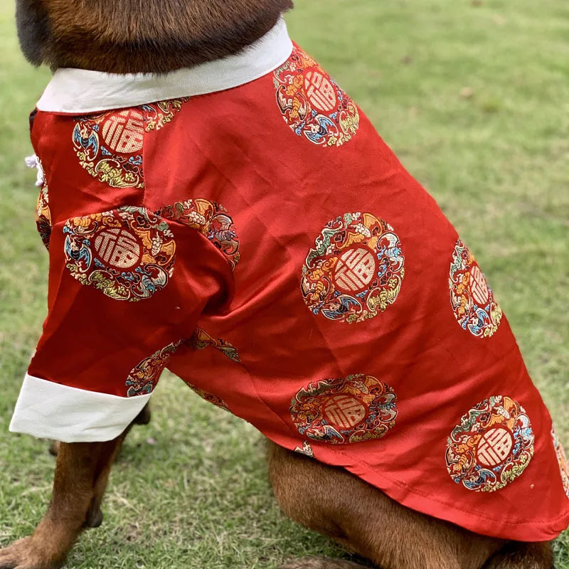 Chinese New Year costume