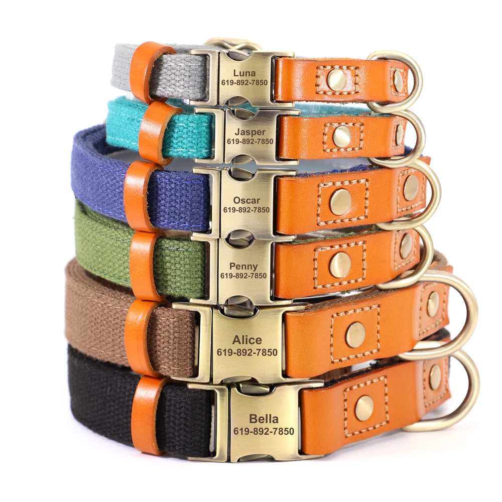 Nylon Custom Dog Puppy Collar Leash Set Genuine Leather