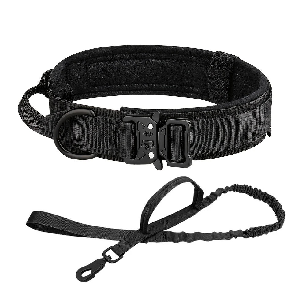 Dog Training Collar,Adjustable Collar And Leash Set