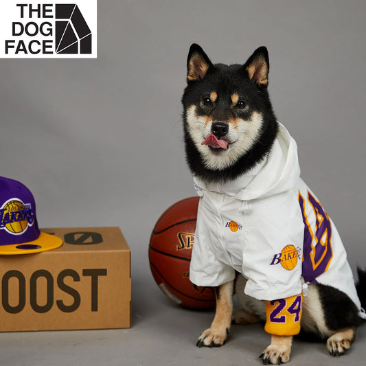 LAKERS JERSEY costume