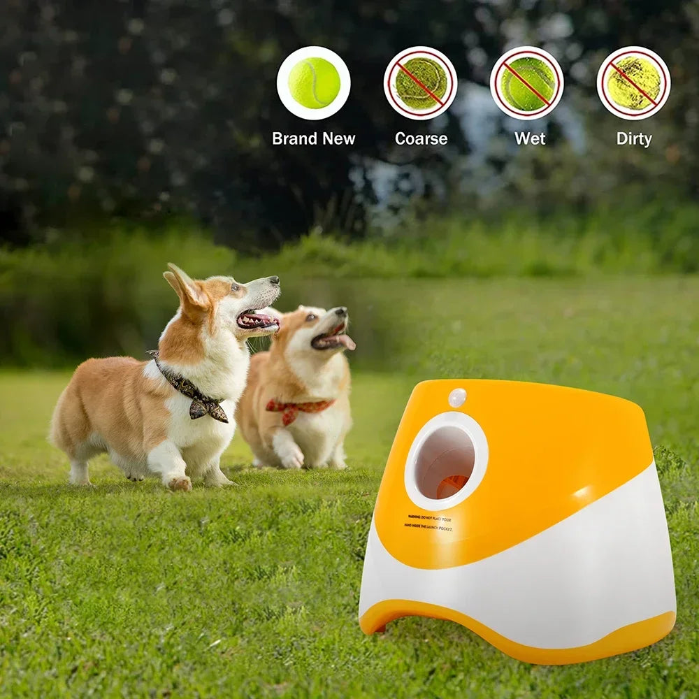 Automatic Pet Ball Launcher