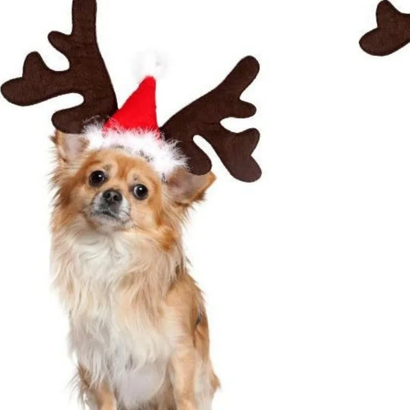 Christmas Pet Dogs Headband Deer Santa Hoop Hat