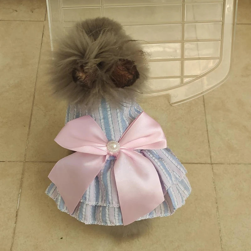 Cat Puppy Princess Dress Summer