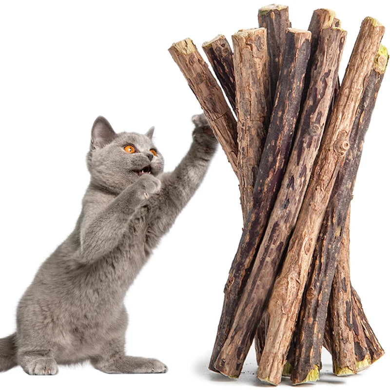 10pcs Cat Natural Sticks for Pet Teeth Cleaning , Chew