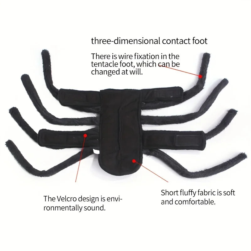 Halloween Spider costume