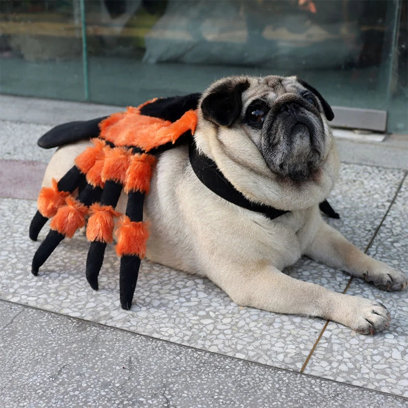 Halloween Red Eyed Spider costume