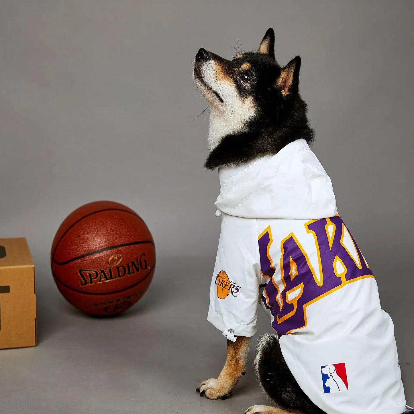 LAKERS JERSEY costume