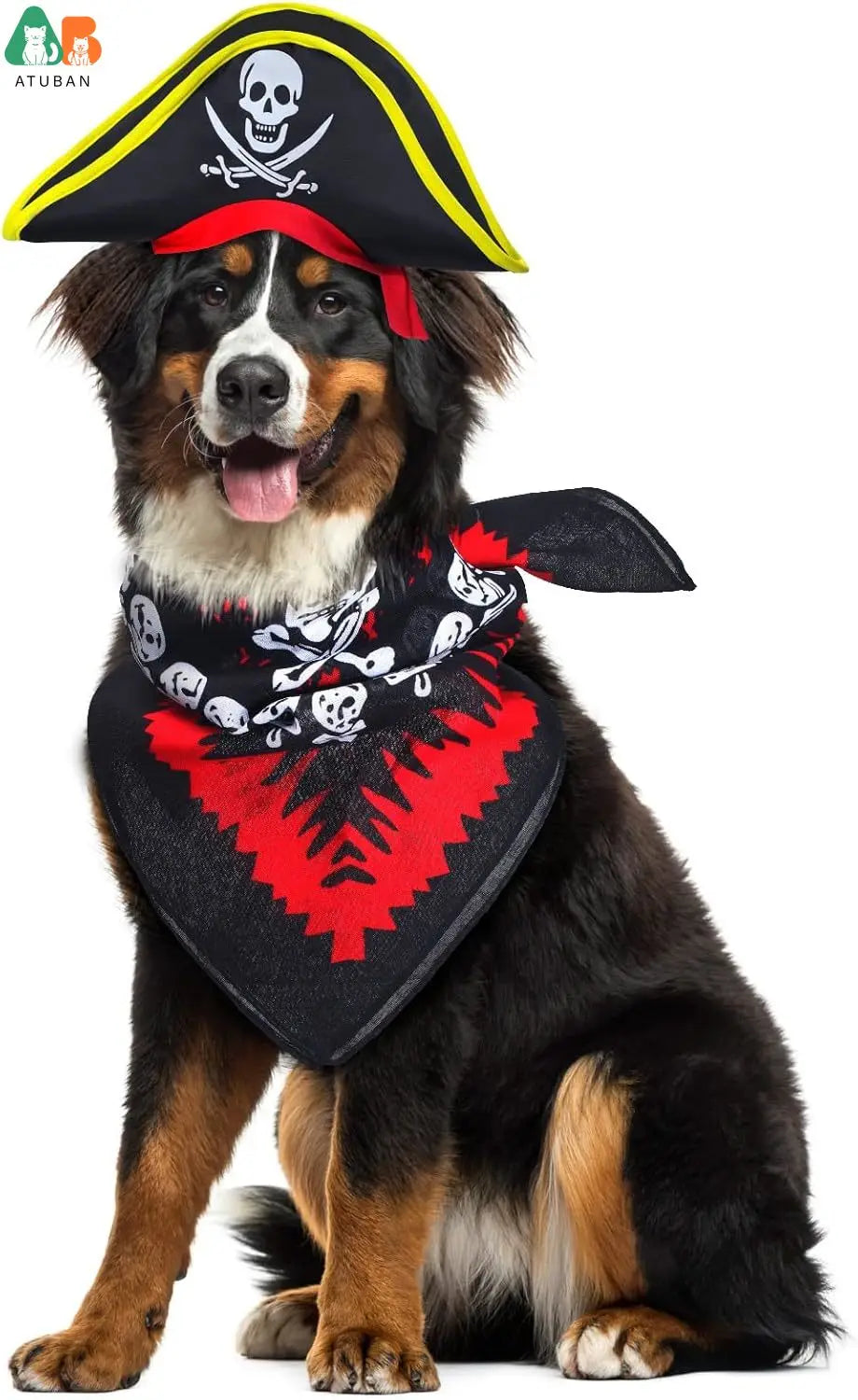 Pirate Hat with Pirate Skull Bandana Cosplay Costume